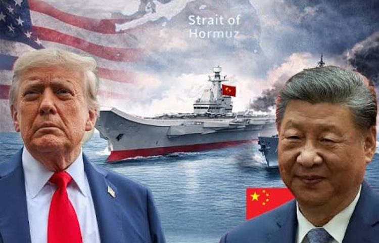 images (13)
